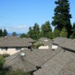 strata-roofing strata-roofing